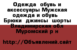 Одежда, обувь и аксессуары Мужская одежда и обувь - Брюки, джинсы, шорты. Владимирская обл.,Муромский р-н